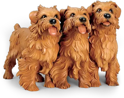 Tinder Jeff Koons Three Puppies Png Tinder Airplane Icon