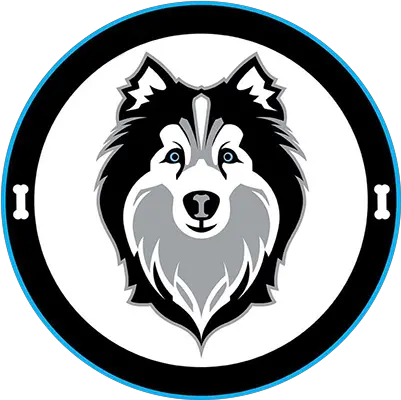 Rescue A Husky Husky Heaven Rescue Northern Breed Group Png Husky Icon Transparent
