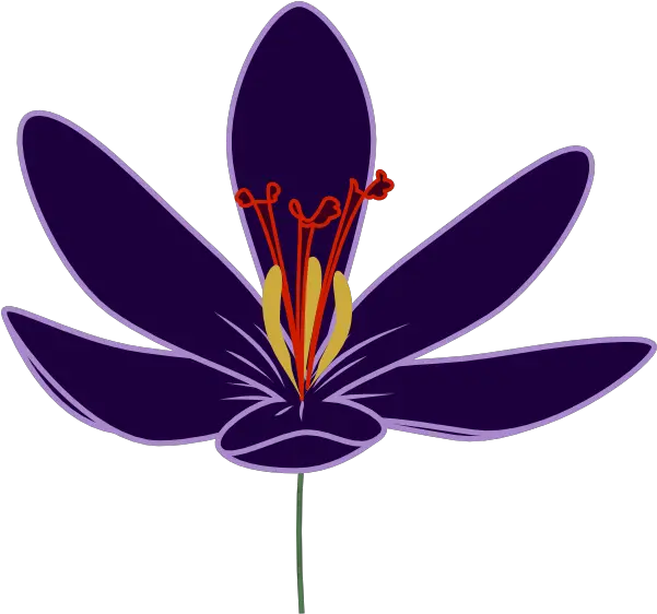 Clipart Of Barry Crocus And Dogwood Clip Art Png Dogwood Png