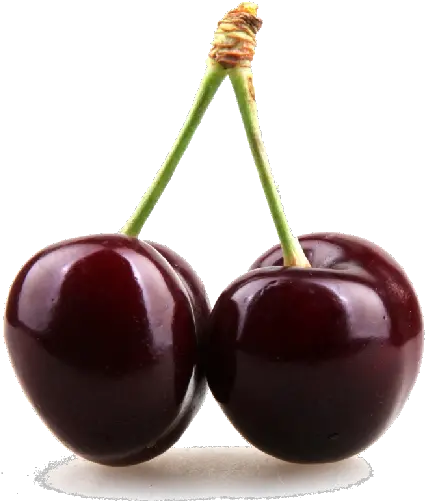 Black Cherry Png Clipart Black Cherry Png Cherry Png