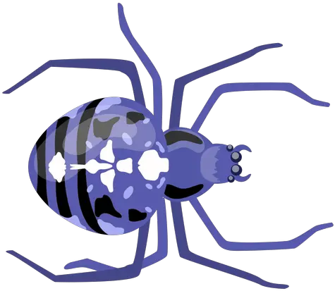 Transparent Png Svg Vector File Insect Spider Transparent