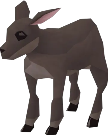 Lamb Runescape Wiki Fandom Burro Png Lamb Png