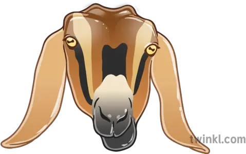 Newsroom Emoji Goat Farm Animal Ks2 Illustration Png Goat Emoji Png