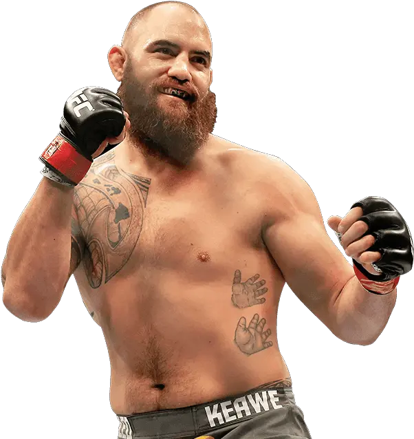 Index Of Codetemplatesimageschannels To Ufc Fighters Transparent Png Ufc Png