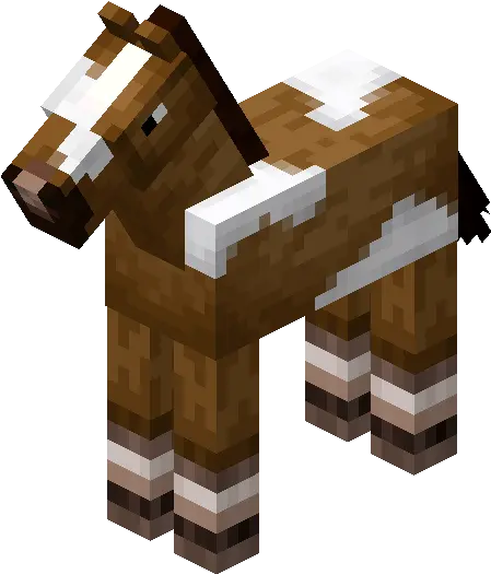 Creamy Baby Horse With White Fieldpng Minecraft Wiki Field Png