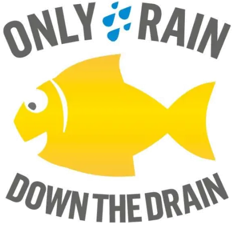 Water Environment Campaign Yellow Fish Peterborough City Pomacentridae Png Fish Logo Png