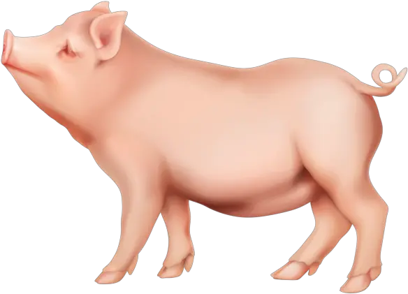 Pin Pig Clipart Png Piggy Bank Transparent Background