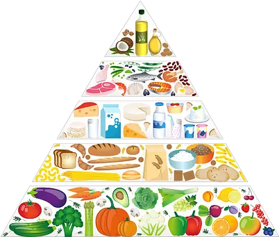 Free Grain Wheat Vectors Food Pyramid Png My Plate Replaced The Food Pyramid As The New Icon