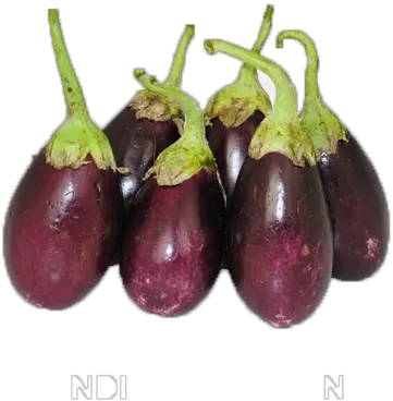 Download Eggplant Png Image With No Eggplant Eggplant Png