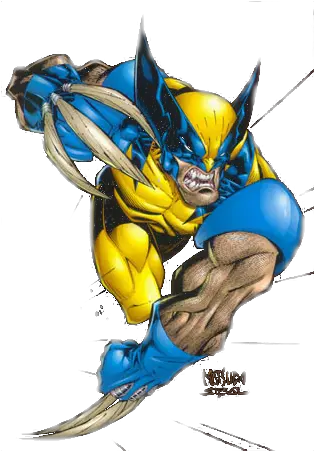 Download Hd X Men Png Photo Wolverine X Men Png