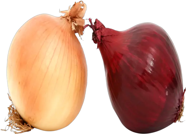 Red Onion Png Fresh Onions Image Yellow Onion Onion Transparent Background