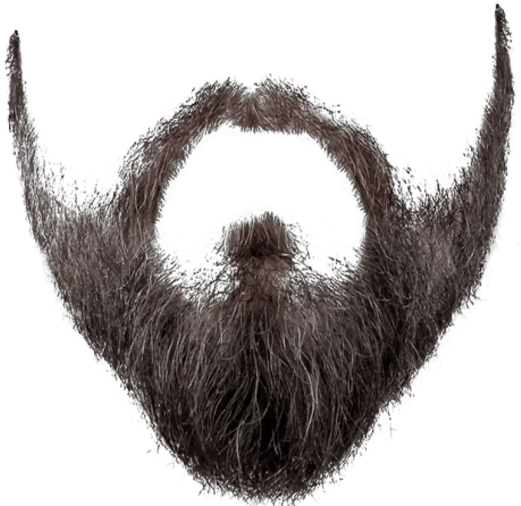 Download Free Png Beard Styles Images Beard Png Moustache Transparent Background