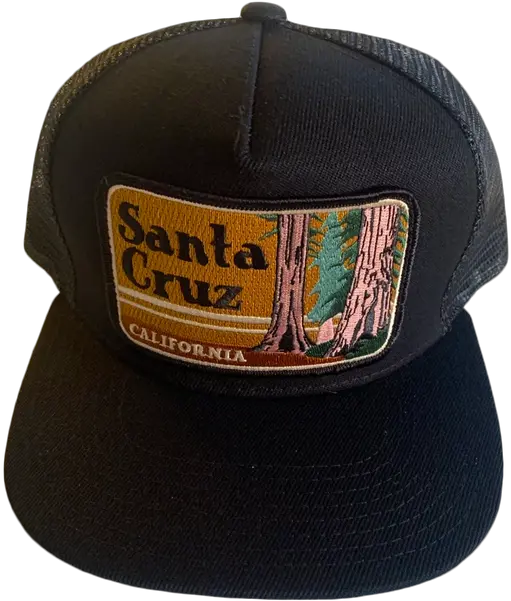 Santa Cruz Trucker For Baseball Png Santa In Crown Icon Transparent