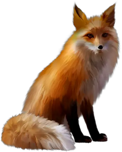 Fox Png Le Renard Png Fox Transparent Background