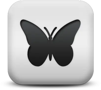 Icon Image Butterfly Free Png Transparent Background Decal Moth Icon
