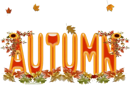 Animation Leaves Falling Autumn Begins Transparent Png Falling Leaves Gif Transparent