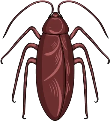 Cockroach Management Service Png Transparent