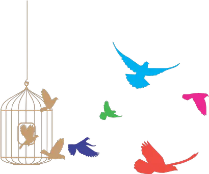 Birds Cage Freedom Product Eps Flock Of Birds Clipart Bird Flying From Cage Png Bird Flock Png