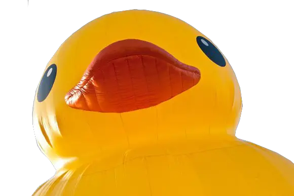 Disgruntled Ramblings And Designs Giant Rubber Duck Png Rubber Duck Transparent Background