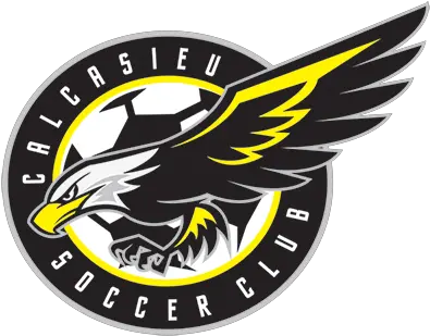 Latest News Calcasieu Soccer Club Calcasieu Soccer Club Png Spread Eagle Icon