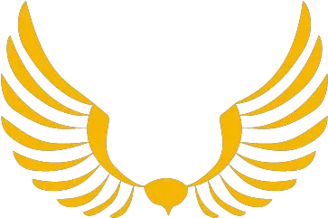 Birds Of Prey In Devon U2013 Westcountry Falconry Flying Bird Logo Png Bird Logo