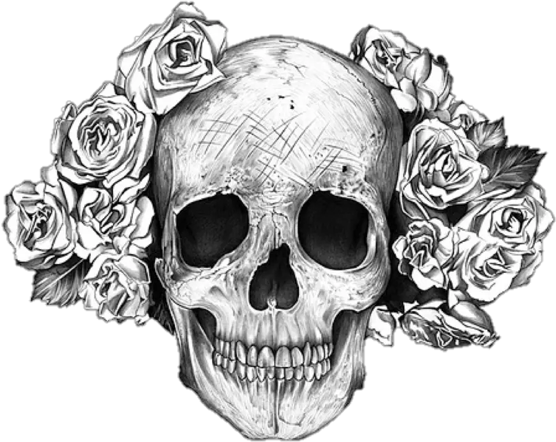Rose Skull Transparent Png Image Skull And Roses Tattoo Meaning Skull Transparent Png