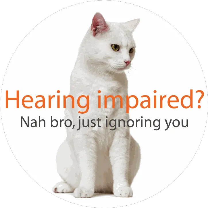 White Cat Hearing Conservation And Protection Health And Social Care Trust Png Cat Ears Png