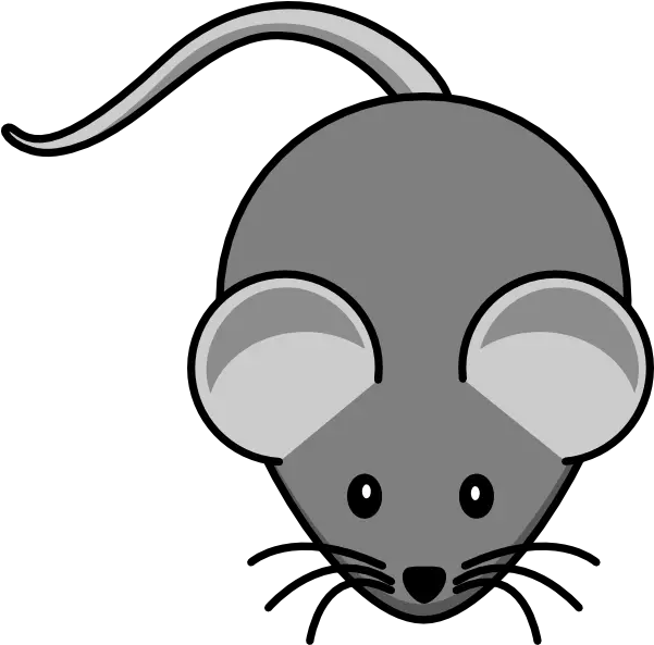 Mouse Animal Clipart Cartoon Picture Of Mouse Png Mouse Animal Png