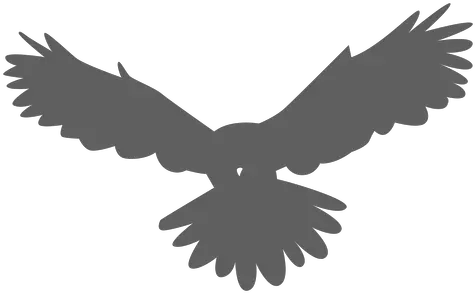 Owl Wing Eagle Silhouette Transparent Eagle Silhouette Png Owl Silhouette Png