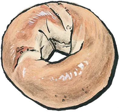 Bagels Zingermanu0027s Bakehouse Bagel Drawing Png Bagel Transparent
