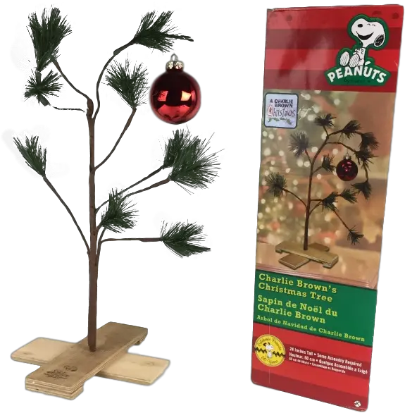 Tall Peanuts Charlie Browns Cupressaceae Png Charlie Brown Christmas Tree Png
