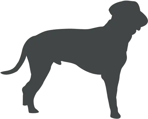 Old Dog Silhouette Posing Ad Aff Sponsored Dog Png Dog Silhouette Png