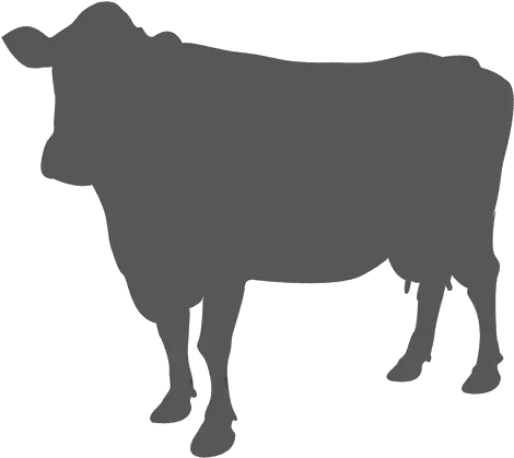 Cow Icon Png 207878 Free Icons Library Transparent Cow Icon Cow Face Png