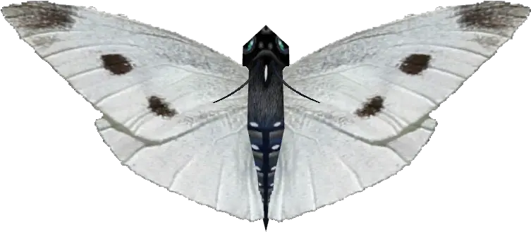 Download Ambient Small White Butterfly Moth Full Size White Moth Png Moth Png