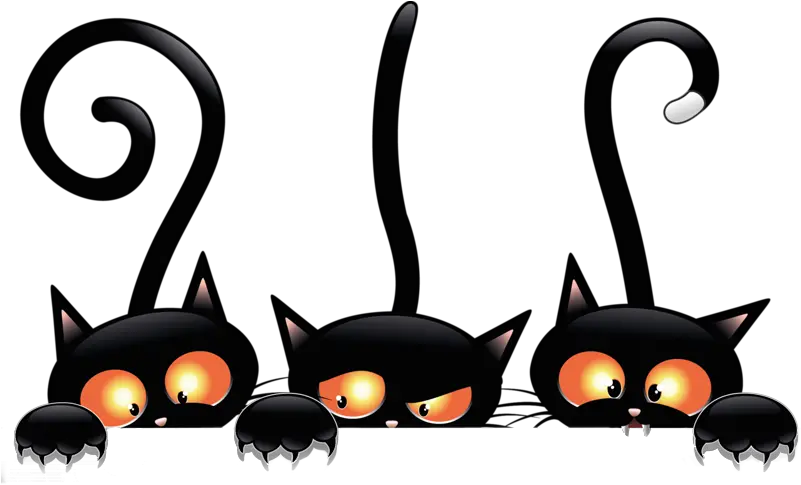 Bristling Black Cats Halloween Cat Transparent Png Funny Cat Png