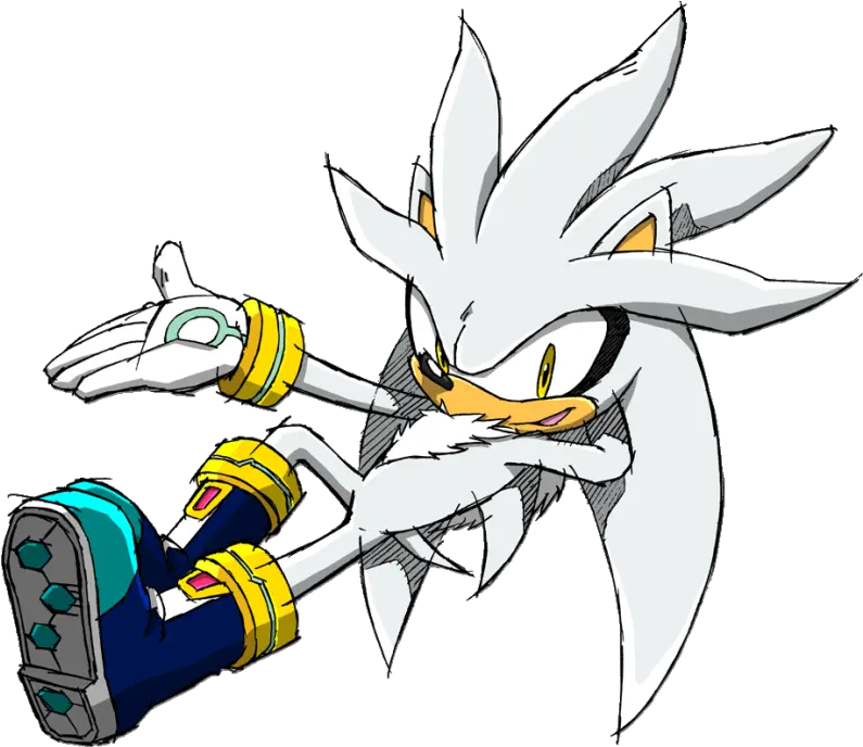 Hedgehog Drawing Free Download Silver The Hedgehog And Blaze The Cat Png Hedgehog Transparent Background