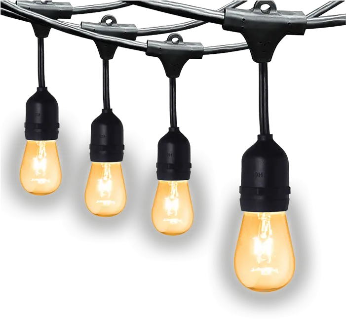 String Lights Firefly Electric U0026 Lighting Corporation Ceiling Fixture Png String Light Png