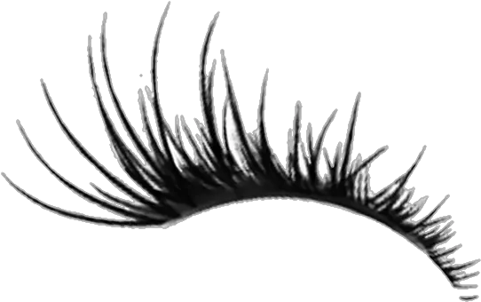 Lashes Lash Eyelashes Eyelash Transparent Background Eyelash Png Eyelashes Transparent Background