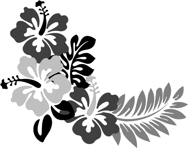 Clipart Images In Png Hawaiian Flowers Clip Art Black And Hibiscus Clip Art Hawaiian Flowers Png