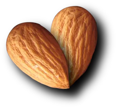 One Almond Png 4 Image Almond Nut Transparent Background Almonds Png