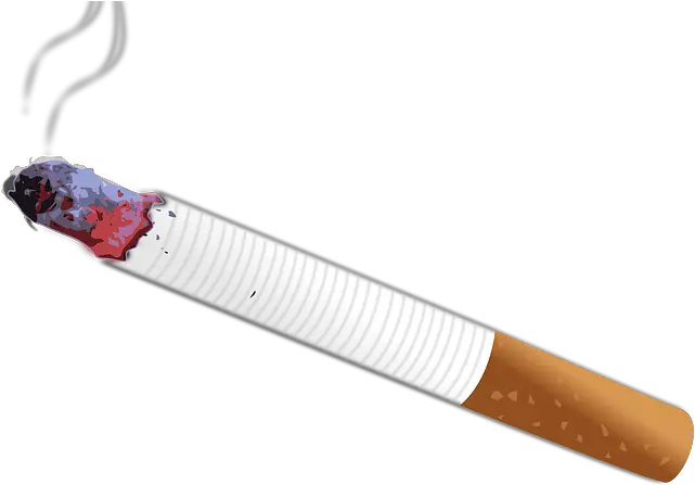 Harmful Effects Of Second Hand Smoke Airbetterorg Smoke Hd Png Effects Smoke Effect Png