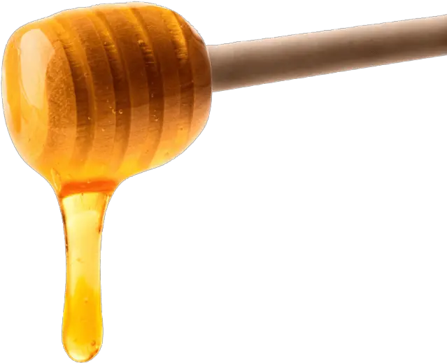 Picture Transparent Honey Drip Png Honey Transparent