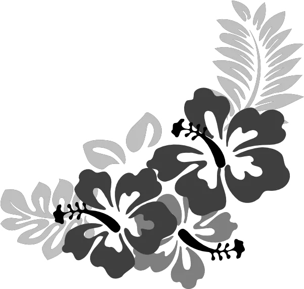 Hibiscus Clipart Png In This 13 Piece Svg Tropical Clipart Hibiscus Icon