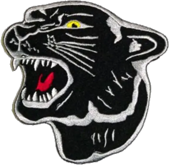 Putnam County High School Granville Il Johnston Panthers Ri Png Putnam Icon