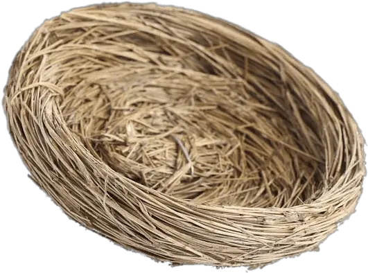 Natural Bird Nest Transparent Png Bird Nest Transparent Background Nest Png