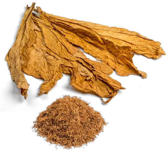 Tobacco Png Transparent Tobacco Leaf Png Tobacco Png