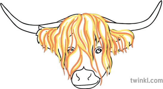 Step 3 Highland Cow Head Steven Brown Ks1 Illustration Twinkl Clip Art Png Cow Head Png