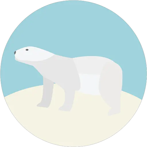 Polar Bear Png Image