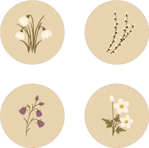 How To Create Spring Flowers From Basic Shapes In Adobe Beige Flower Drawing Png Flower Illustration Png