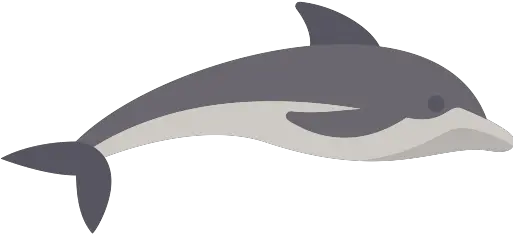 Dolphin Png Icon 24 Png Repo Free Png Icons Dolphin Dolphins Png